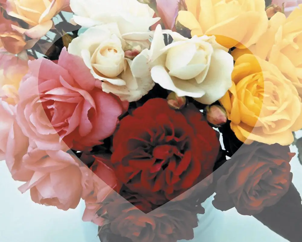 

Funny Design Knee Pad With Tray - Je Taime