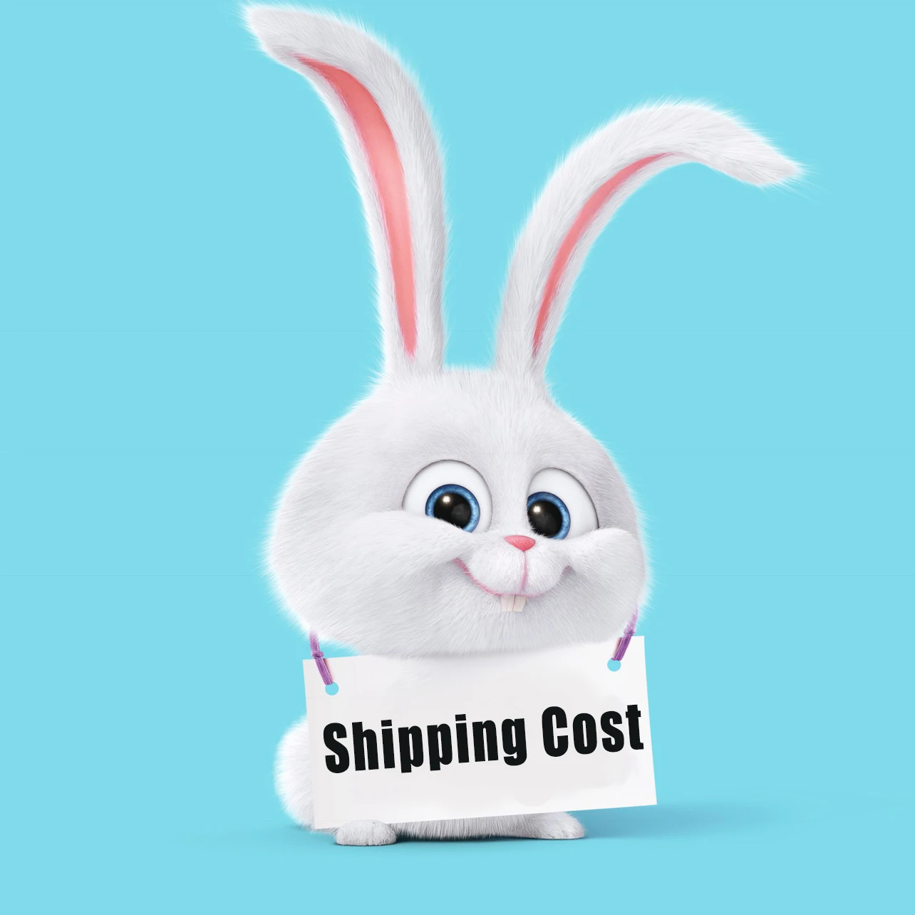 

Extra Shipping Fee Link $0.49