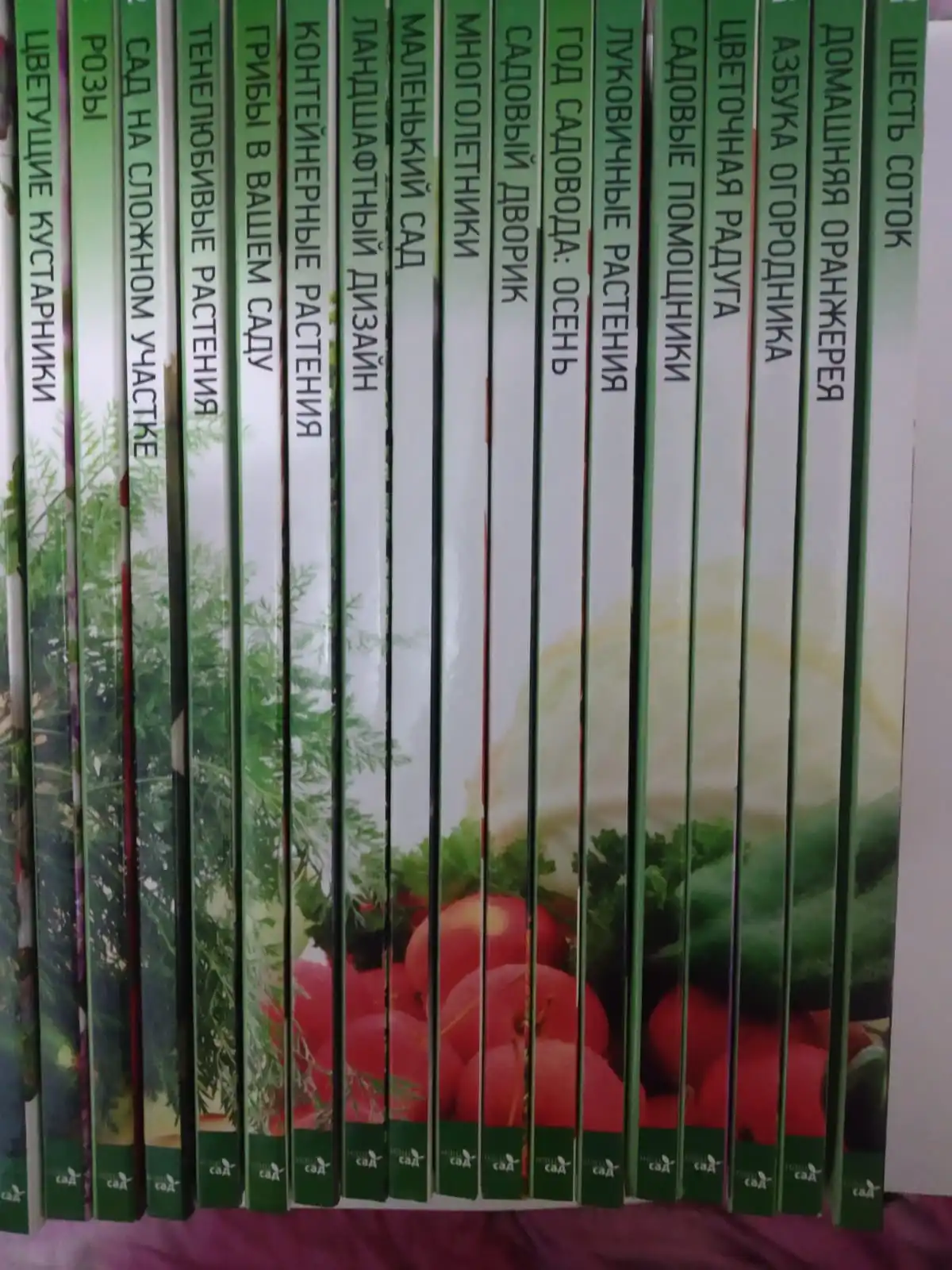 Рисунок 4 - Коллекция иллюстрированных справочников