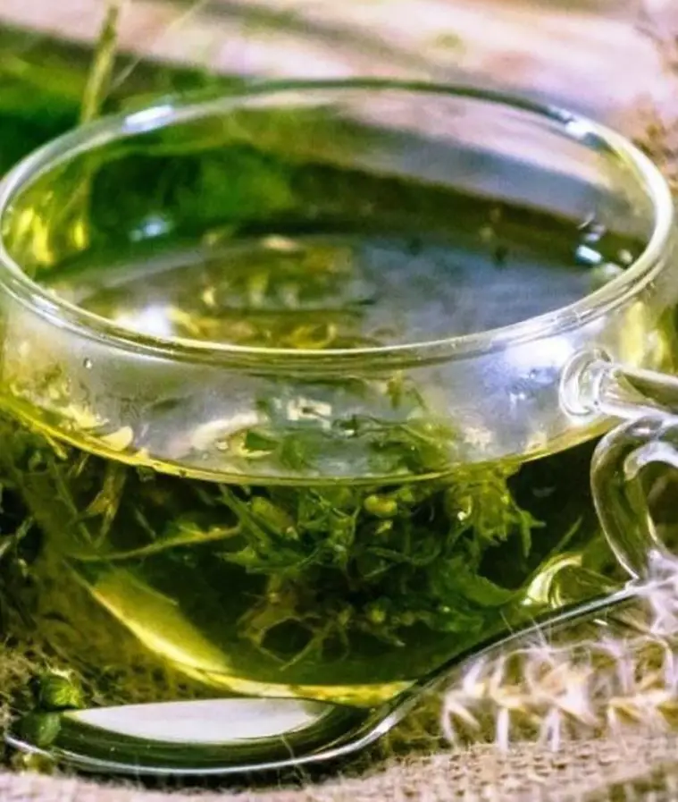 Чай Из Конопляных Листьев Купить