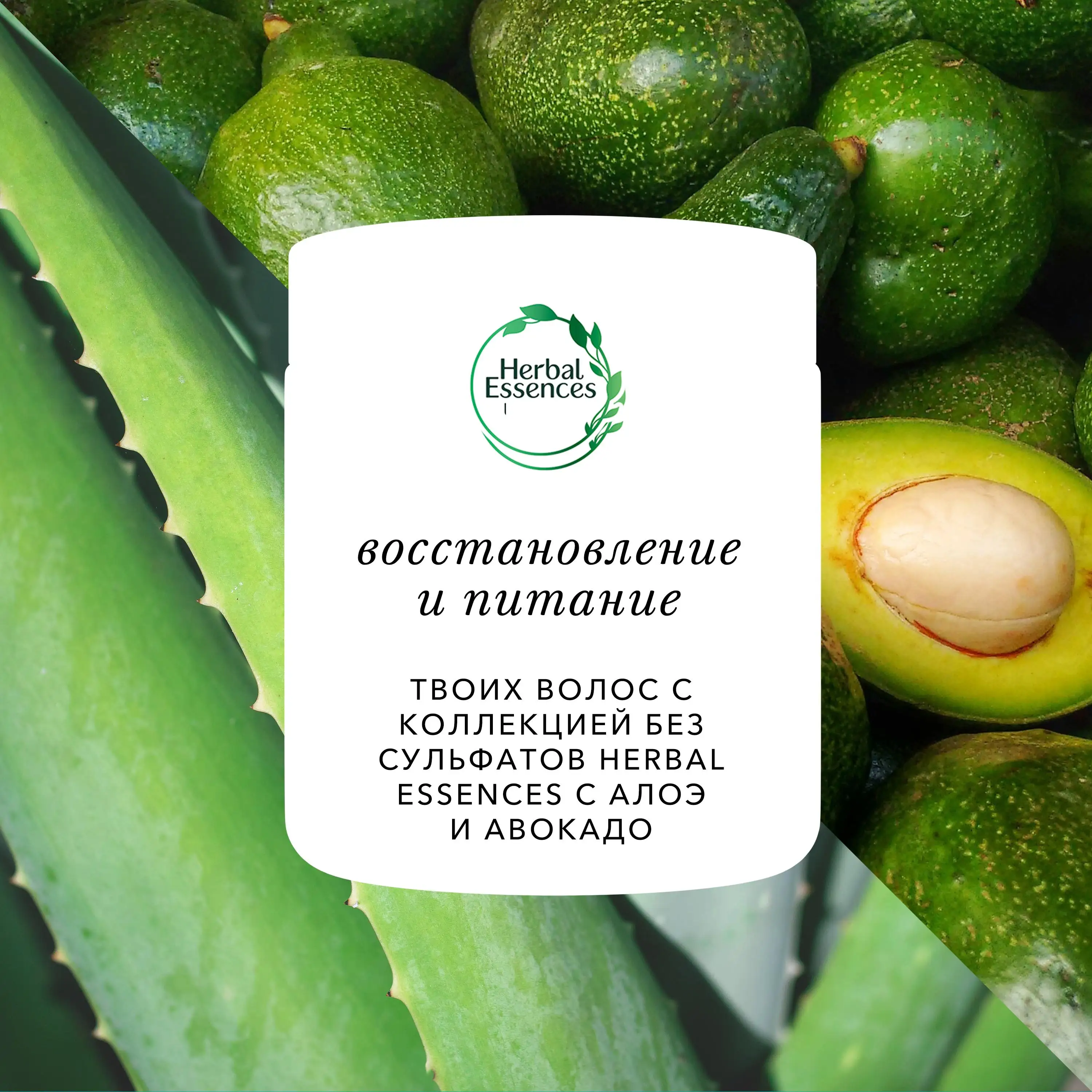 Маска для волос Herbal Essences алоэ и масло авокадо 250 мл | Красота здоровье