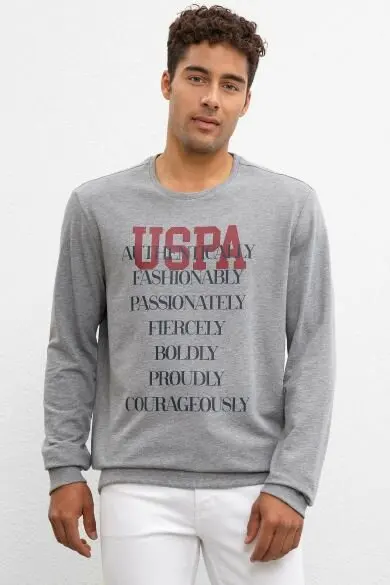 

U.S. POLO ASSN. Серый Обычная Толстовка