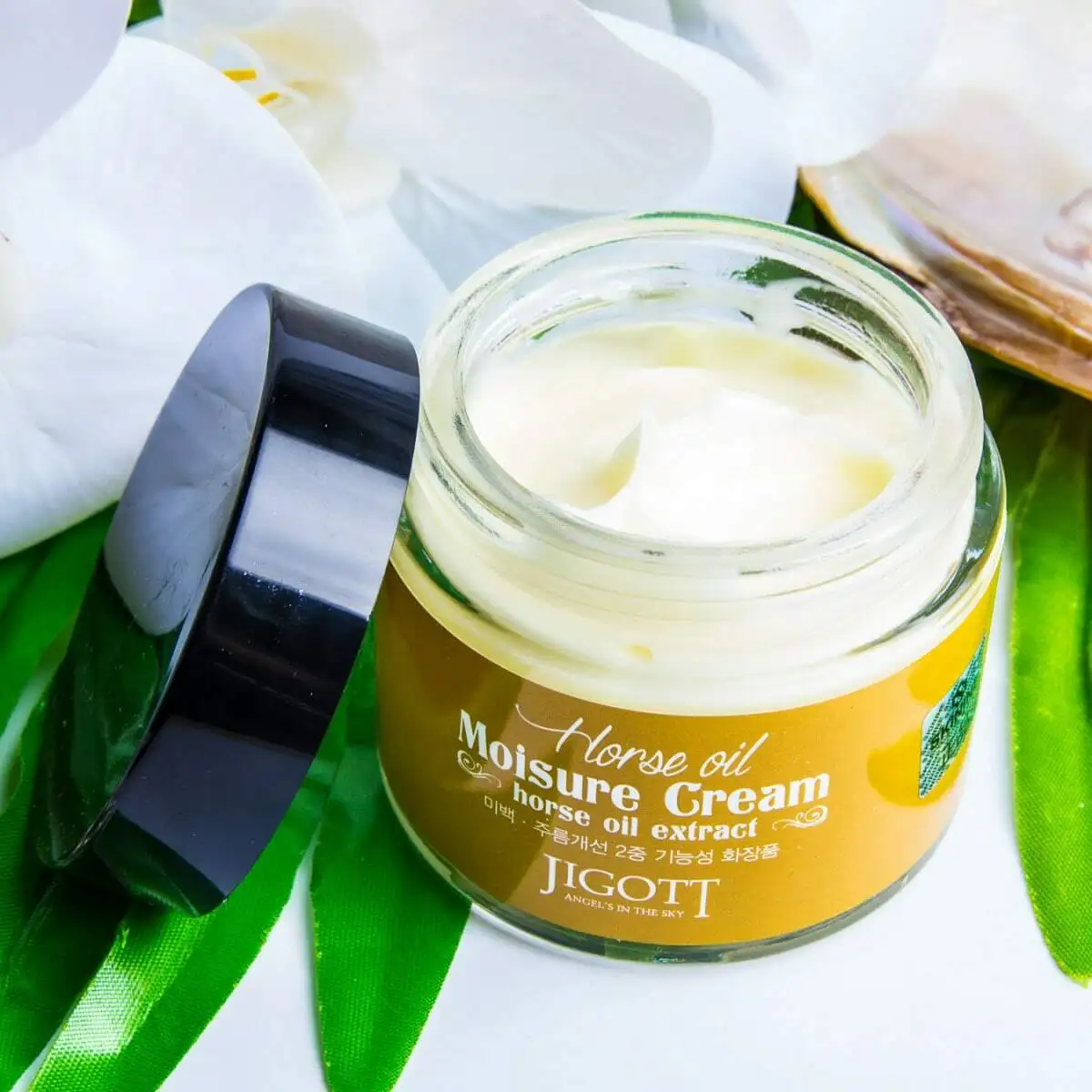 Mix & Match more colours jigott horse oil moisture cream 50 ml | Day Creams Moisturizers