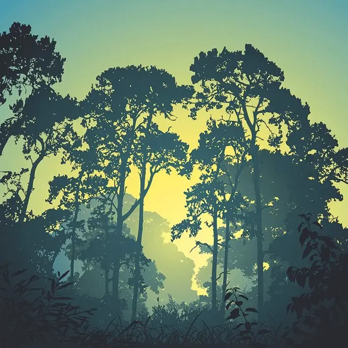 

Curtain Forest Landscape Trees with Branches at Sunrise Countryside Foggy Morning Scenery in Yellow Green Blue Printed