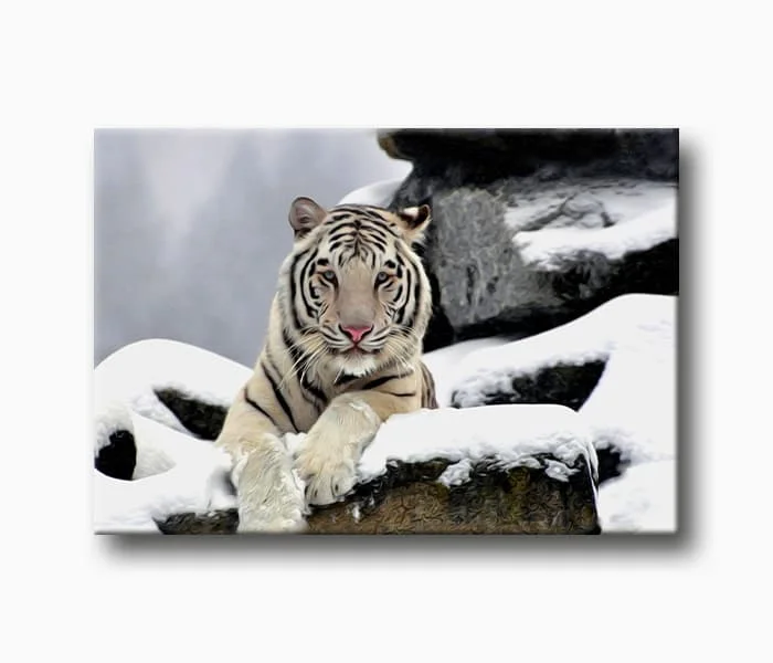 Картина тигр на холсте-холст искусство печать дома картины рамки стены фоторамка