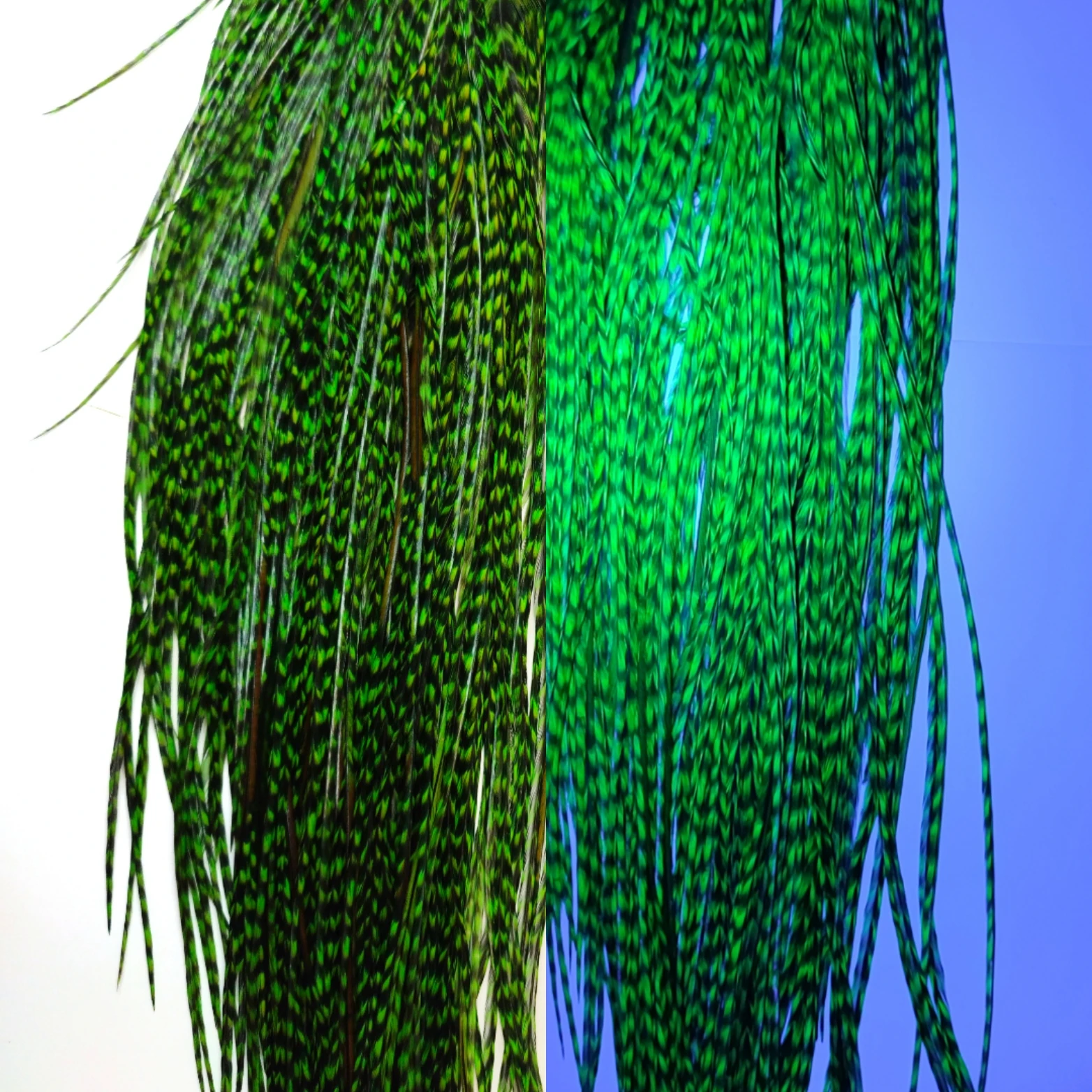 Individual feathers 10 pcs. Grizzly PRO GRADE. From the saddle of a rooster Whiting. 20 to 35 cm . For knitting fly fishing flies | Спорт и
