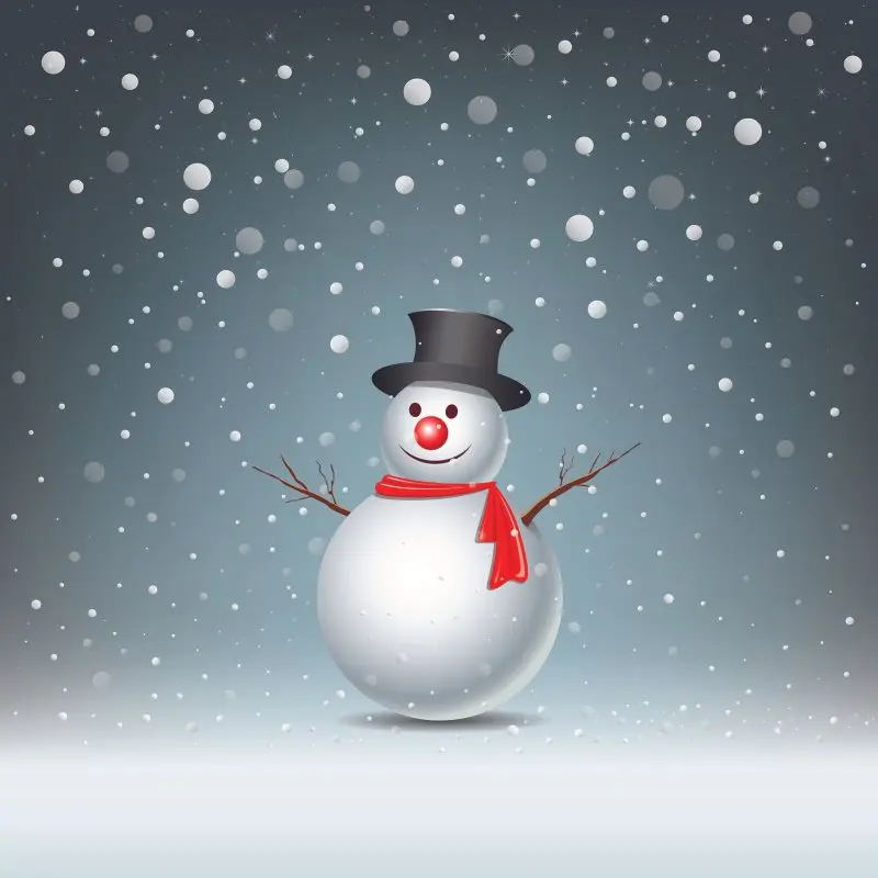 

Curtain Merry Christmas Snowman Snow Flakes on Gray Background Winter Night View Printed