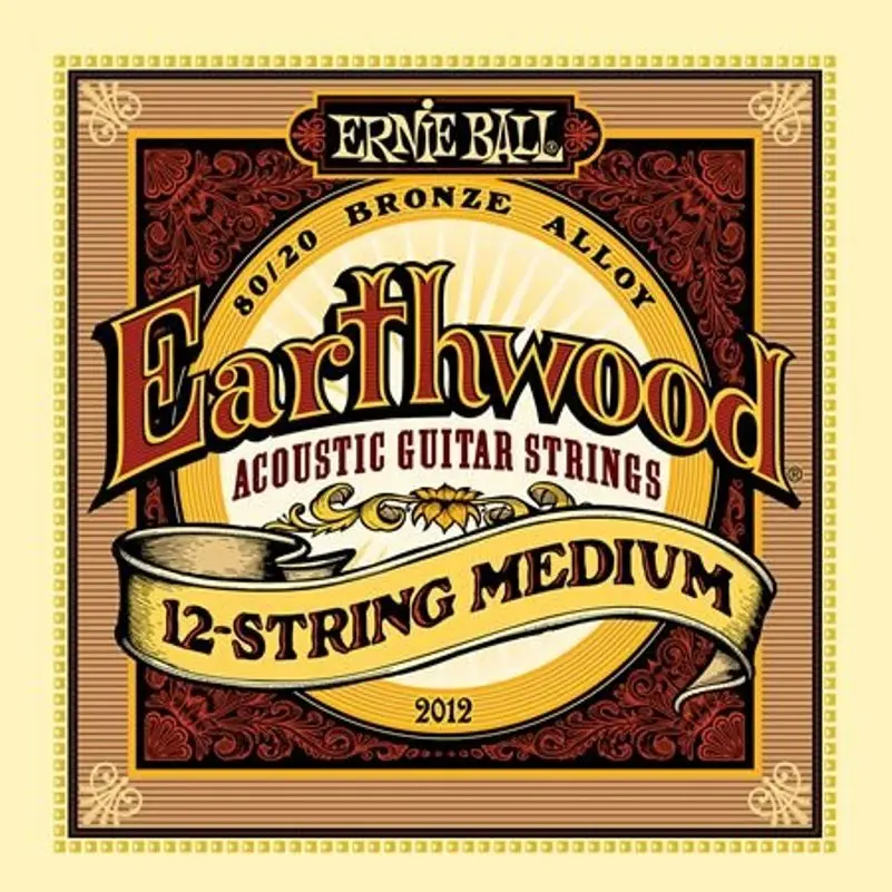 Strings for 12 string acoustic guitar Ernie Ball 2012 | Guitar Parts &amp Accessories