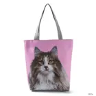 Сумка-тоут с принтом кошки, модный саквояж на плечо с милыми животными, вместительный мешок для покупок, портативная дорожная сумка для хранения