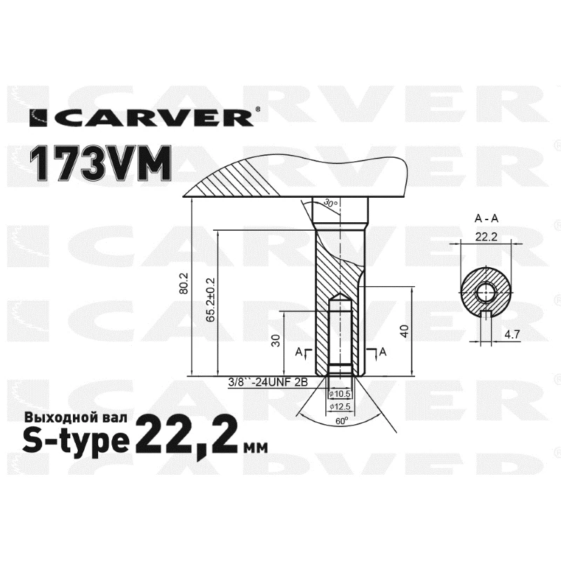 Бензиновый двигатель CARVER 173VM | Инструменты