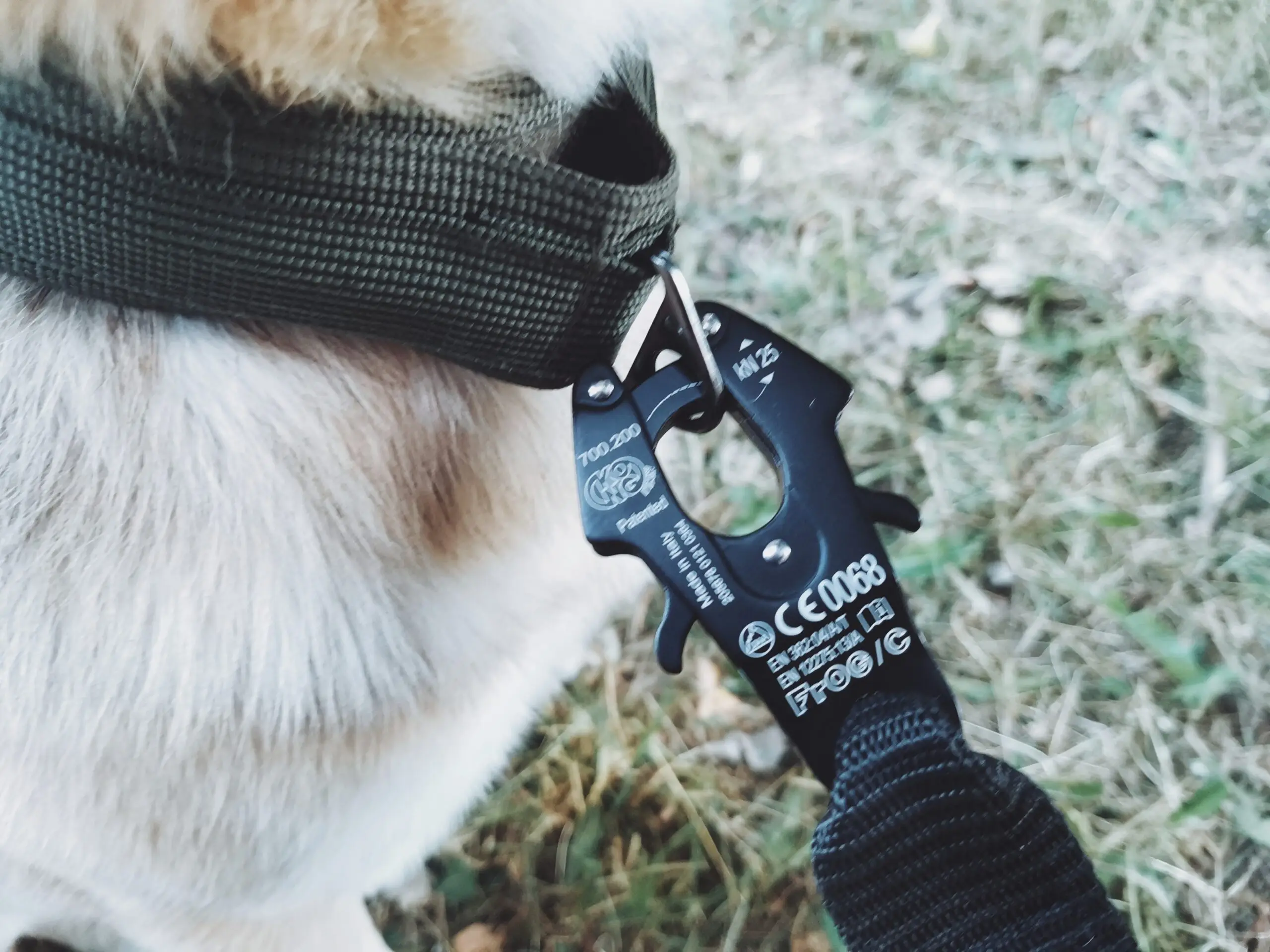 Professional leash for Dogs series &quotA" with carabiner-self-gripper | Дом и сад
