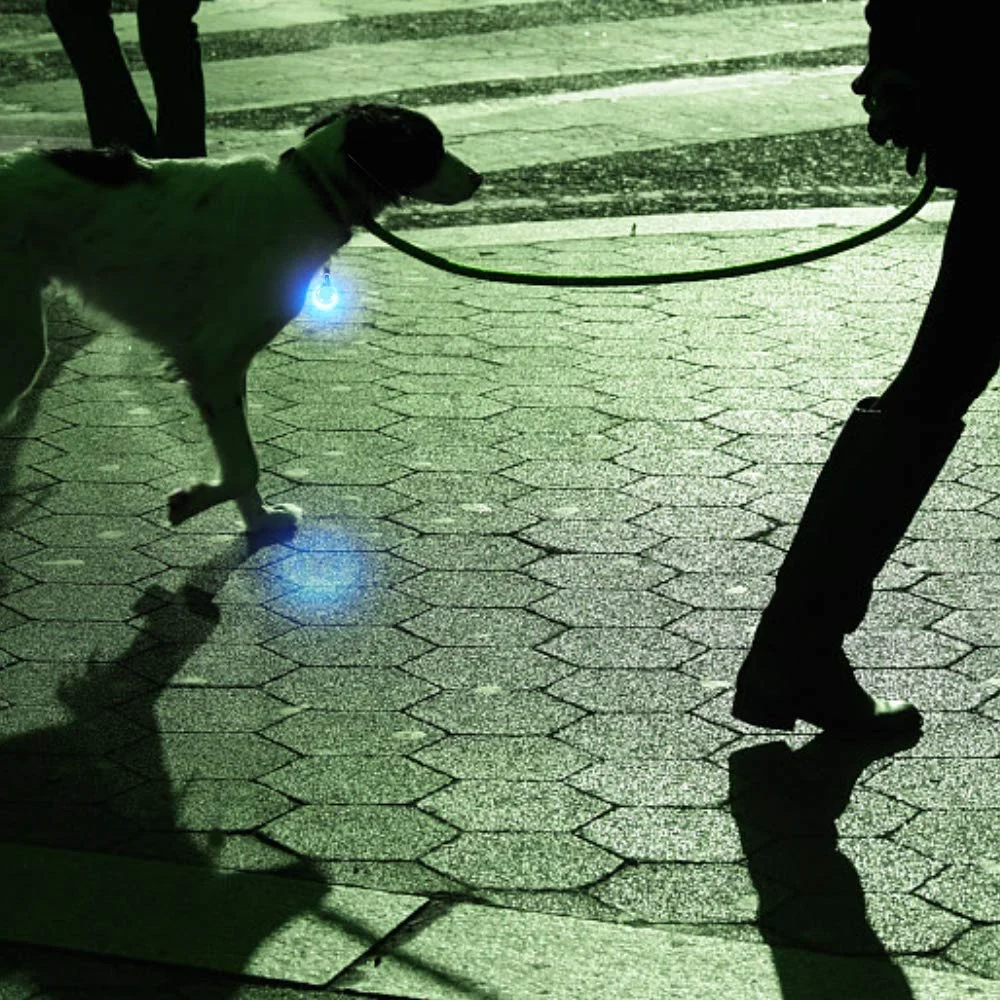 Ночные светодиодные фонари ошейник для кота светящиеся кулон собак средних огни