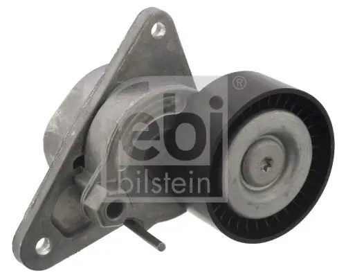 Ролик натяжной MB W220/C215/R230 6.0/6.5 AMG 00 FEBI BILSTEIN 19|Маховики эластичные муфты и запчасти| |