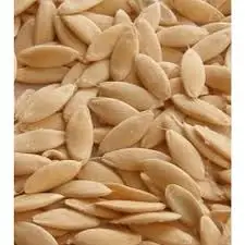 20 шт. органический деревенский огурец Бесплатная доставка|Детские горшки| |