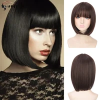 DIANQI Synthetic Wigs Short Bobo Mixed Color with Bangs for Women Shoulder Length Natural Straight Wig