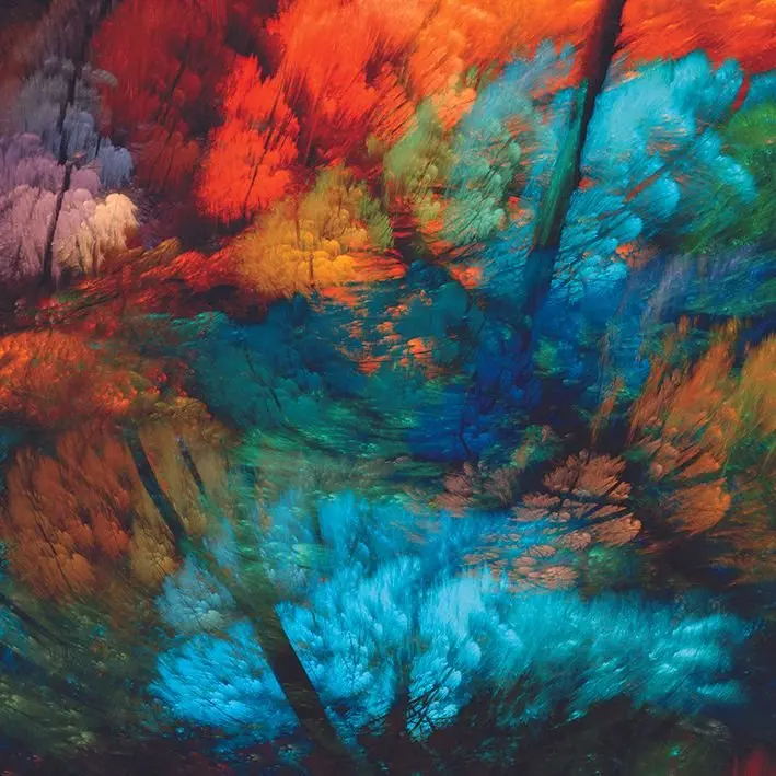 

Curtain Modern Artwork with Abstract Forest Trees Leaves Branches Colorful Four Season Theme Blue Green Orange