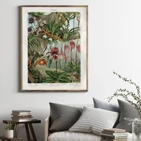 orchids late 1800s botanical poster canvas prints snapdragon antique flowers plants wall art painting picture home room decor