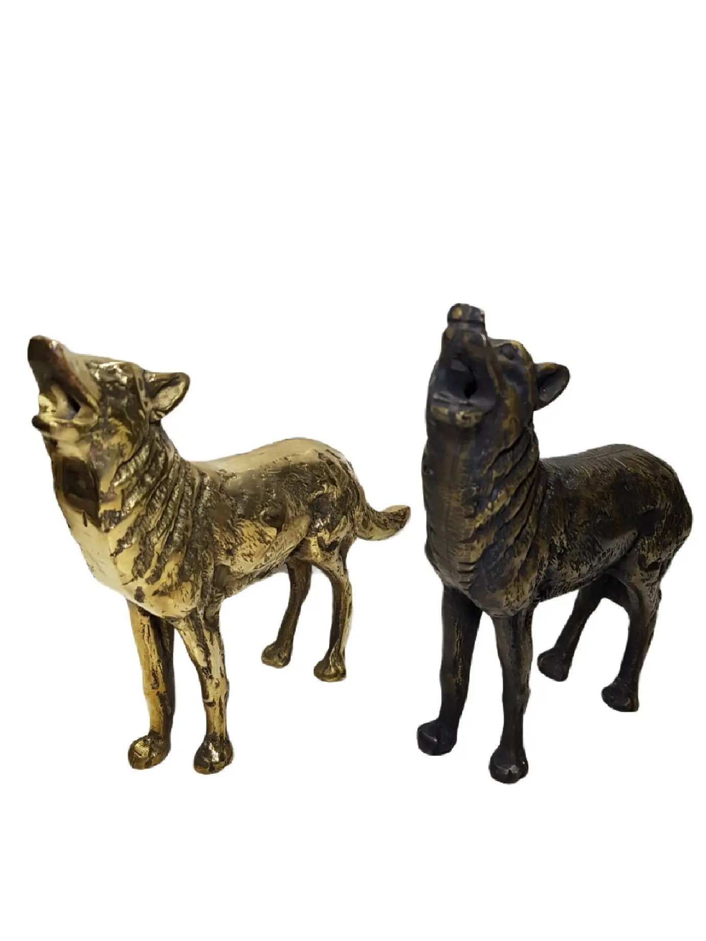 

Wolf