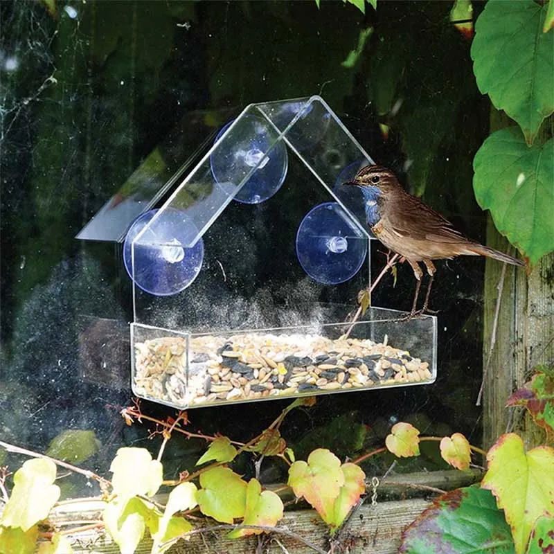 

Pet Bird Acrylic Squirrel Proof Clear Bird Feeder House Hanging Peanut Bird Suction Adsorption Seed Feeder Type Bird Supplies