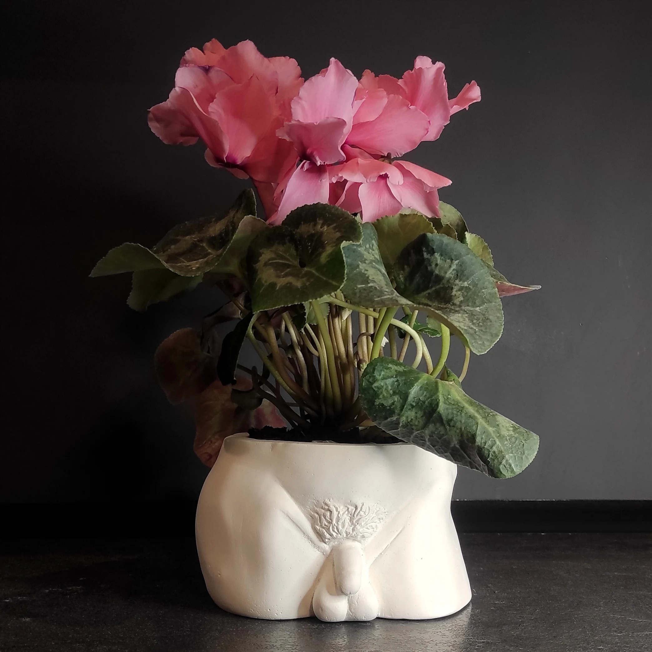 Кашпо под цветы Органайзер хранение ваза. гениталии пенис фаллос Античная -