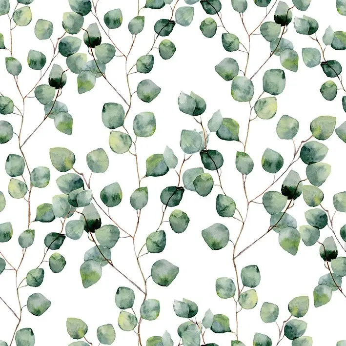 

Curtain Eucalyptus Plant Round Leaves Branches Floral Pattern Watercolor Painting Art Green White