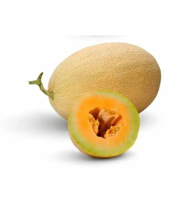 

MZIRAA F1 Kavun Tohumu 1000 Ad.