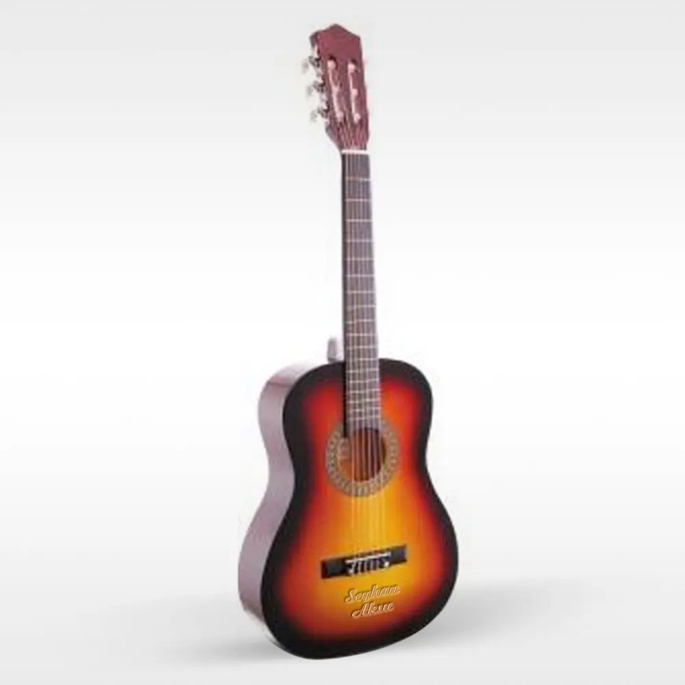 

Tailor-made Guitar (Sunbrust)