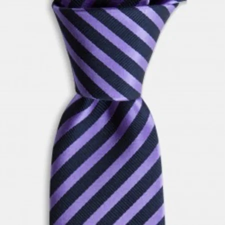 

Navy Blue lilac striped silk tie 67825794