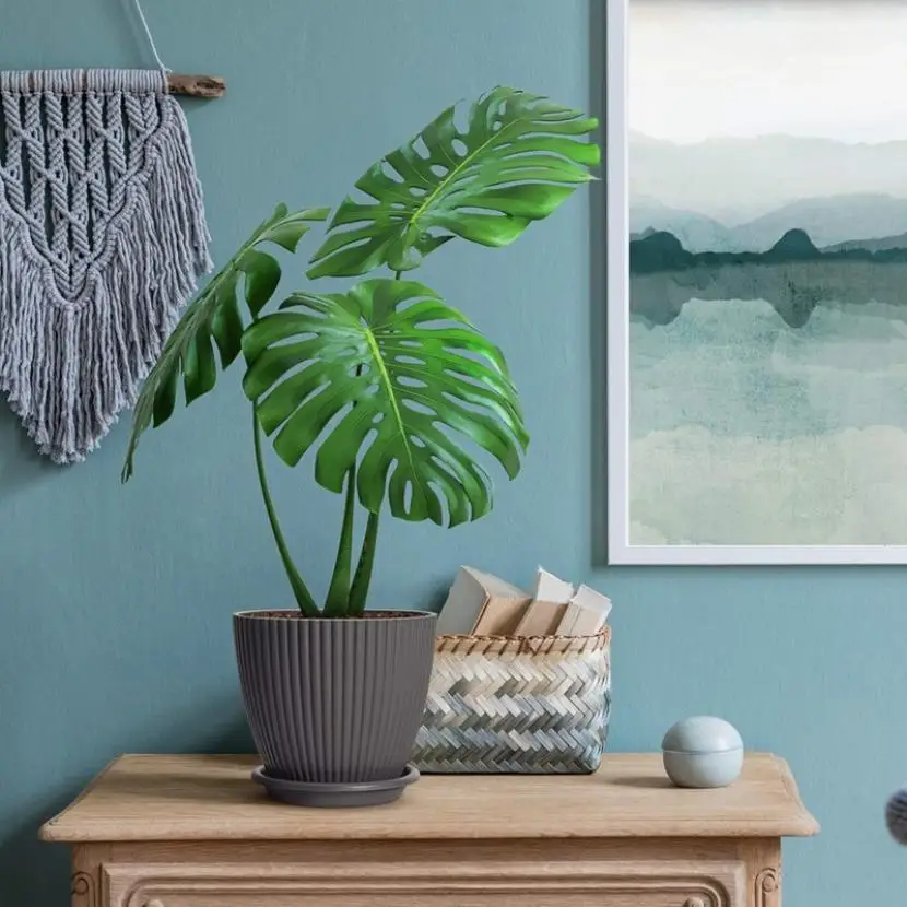 

Colorful Ceramic Flowerpot Succulent Planter Green Plants Cylindrical Shape Flower Pot With Hole Tray Nordic Industrial Style