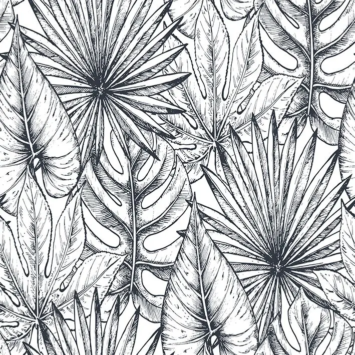 

Curtain Tropical Palm Leaves Jungle Plants Floral Sketch Nature Decorative Illustration Black White