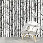 Самоклеящиеся обои с изображением березового дерева, черного и белого цвета