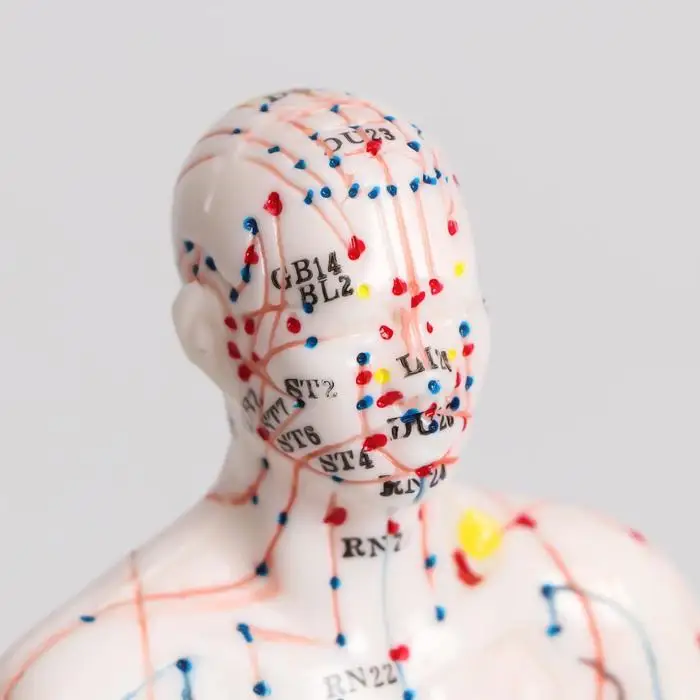 Модель для акупунктуры мужчина 26 см |