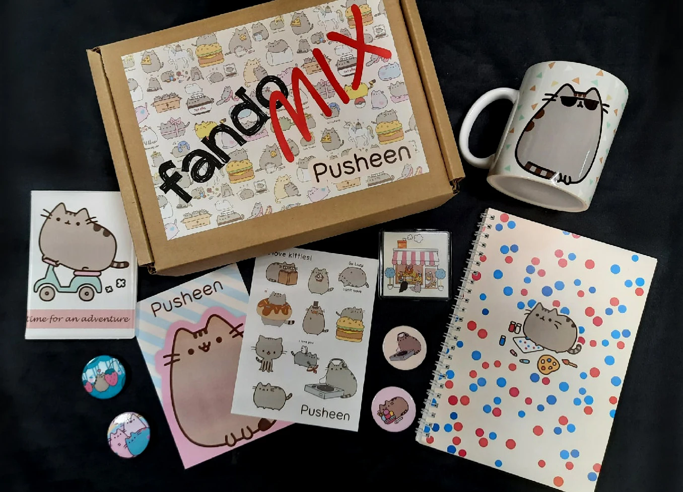 Фандомный бокс Пушин Pusheen |