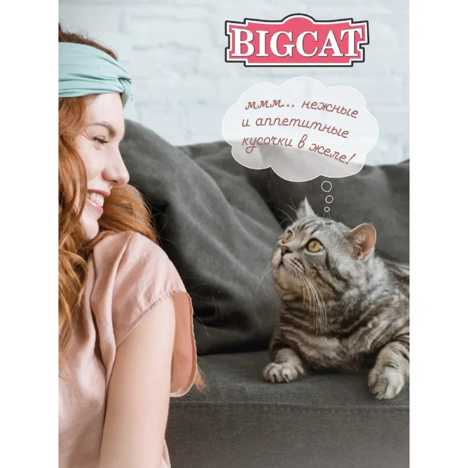 Зоогурман / Корм консервированный Big Cat для кошек 350г х 12 шт Мясное ассорти