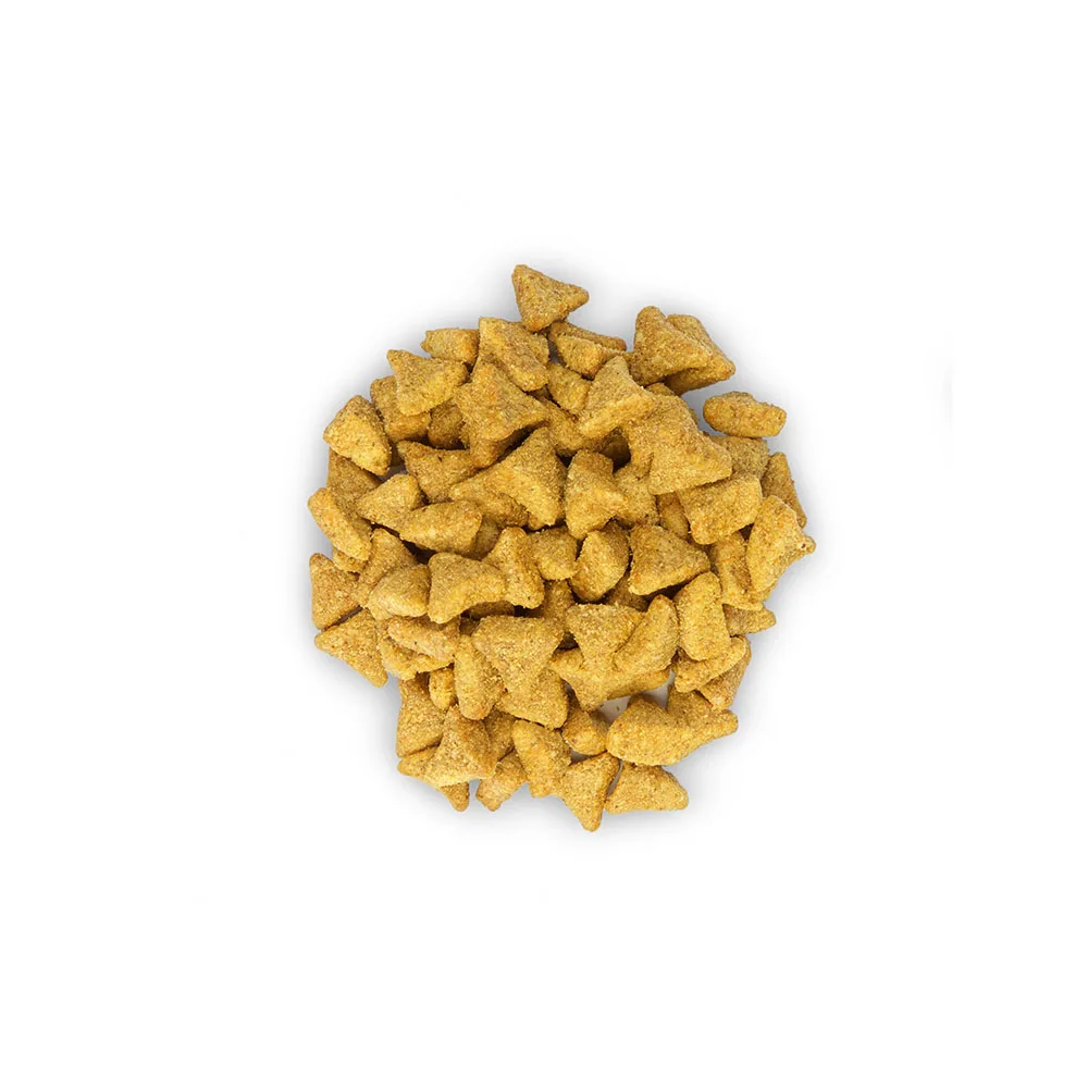 Hill's Science Plan Indoor Cat сухой корм для домашних кошек с курицей 300 г|Кошачий корм| |