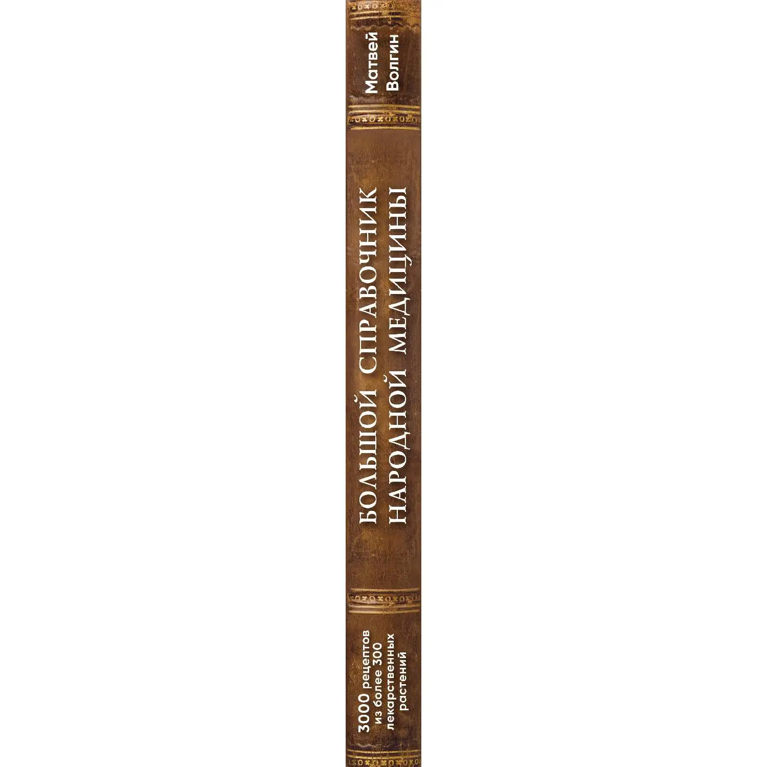 Большой справочник народной медицины. 3000 рецептов из более 300 лекарственных