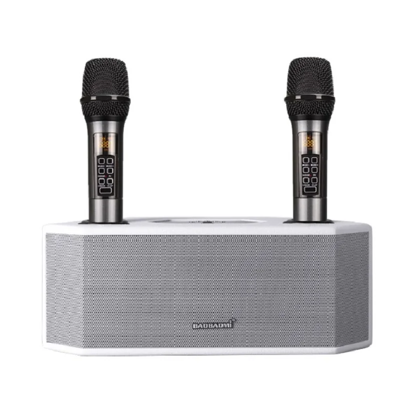 Колонка для домашнего он-лайн караоке G6 Karaoke Speaker 50Вт 2 беспроводных микрофона