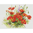 Танцующие маки Алмазная мозаика на подрамнике 30х40 см. Белоснежка. 052-ST-S