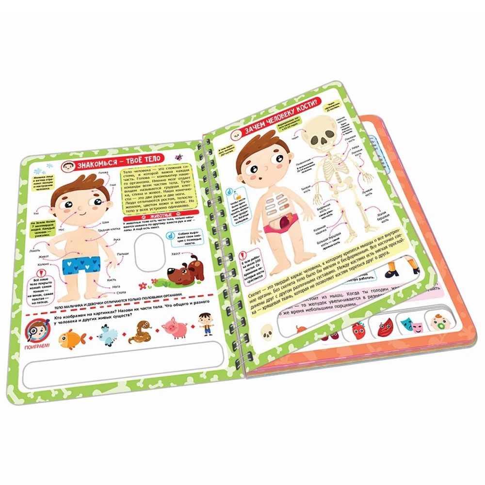 Энциклопедия Почему бьётся сердце? Анатомия для детей(книжка на