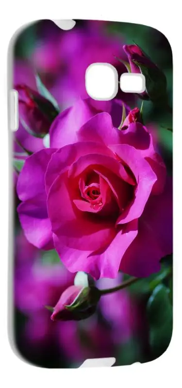 Чехол силиконовый для Samsung S7262 Galaxy Star Plus RHDS TPU (Белый) (Дизайн 160) | Мобильные