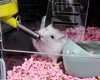 Изображение товара 5