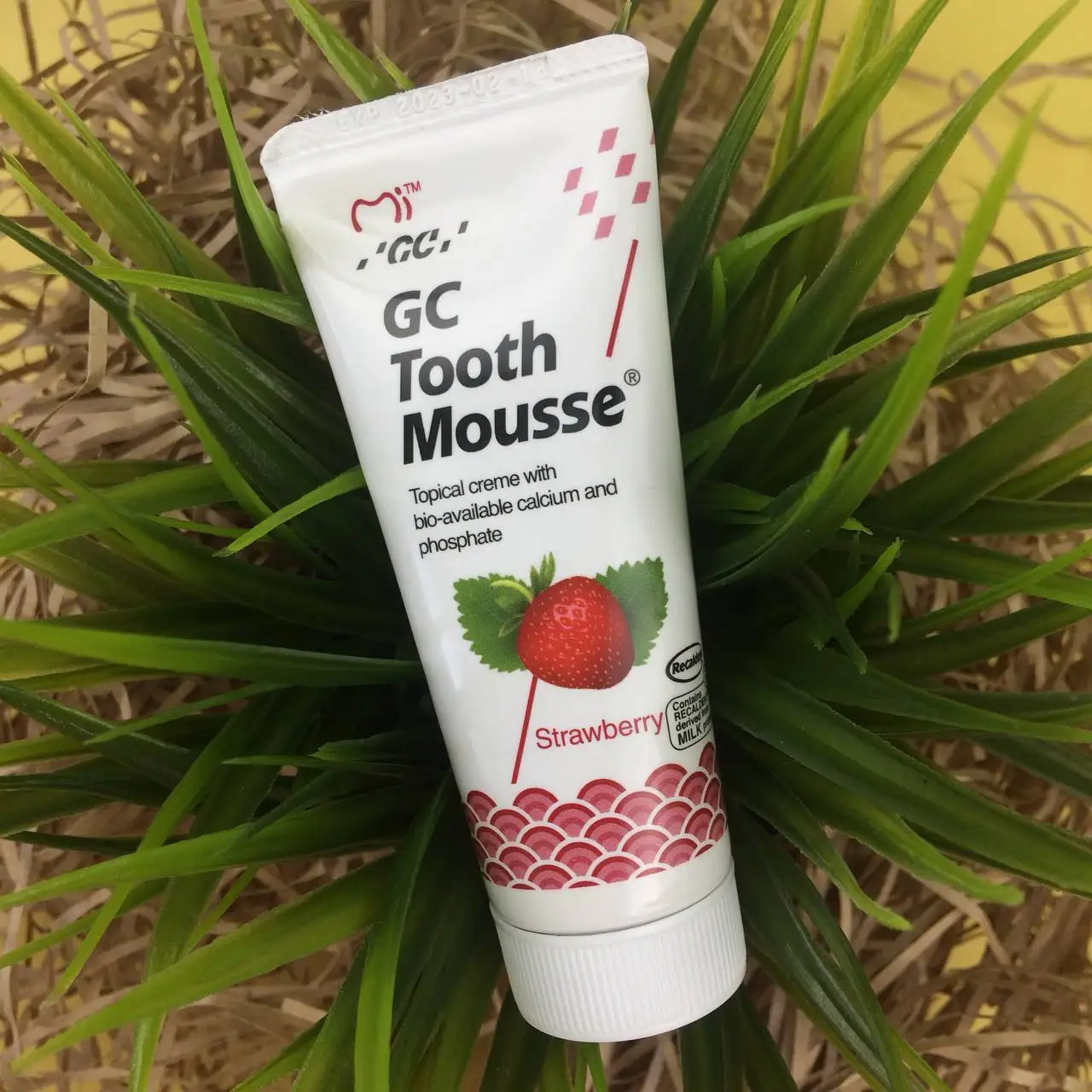 Tooth Mousse Гель Купить