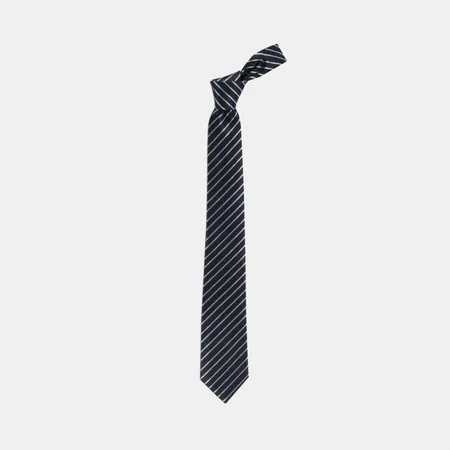 

Blue and Black Striped Silk Tie 67828407