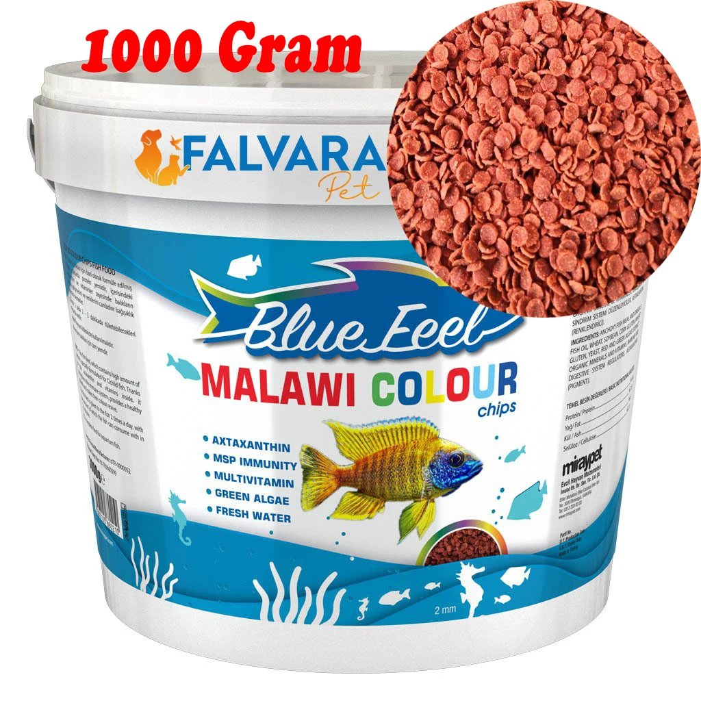 1000 grams Blue Feel Malawi Colour Chips Bucket Compartment Cichlid Fish Food , Granular Fish Food