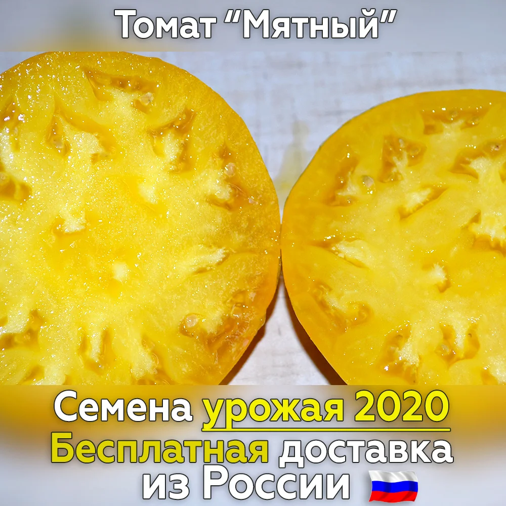 Семена томатов Мятный для посадки. Свежий урожай проверенный сорт. Лучшие овощи