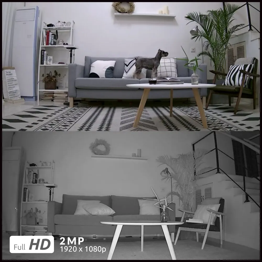 Reolink Argus Pro с панелью солнечных батарей ip камера перезаряжаемая 1080P Wi Fi наружная