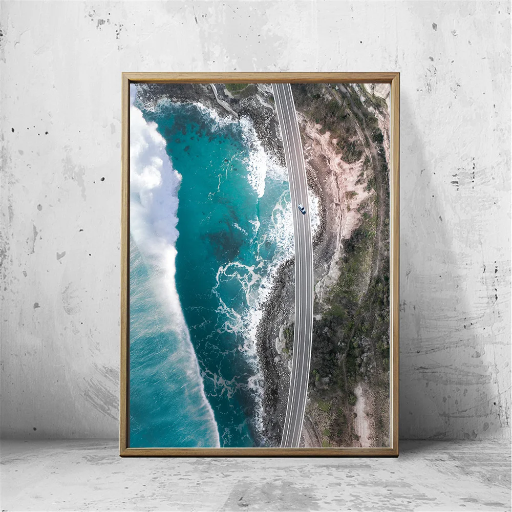 Большой размер картина маслом настенная живопись Австралия птица домашнее