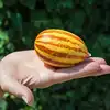Изображение товара 1