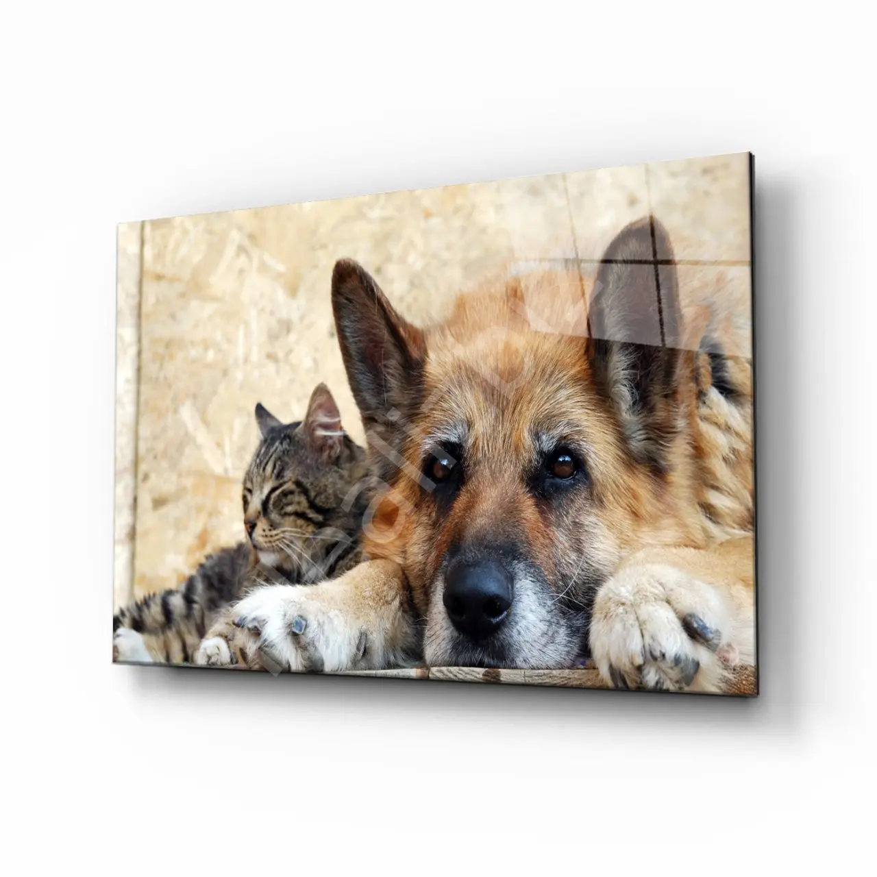 

İdealizbiz Kedi Dog Glass Table 4mm Durable Tempered Glass