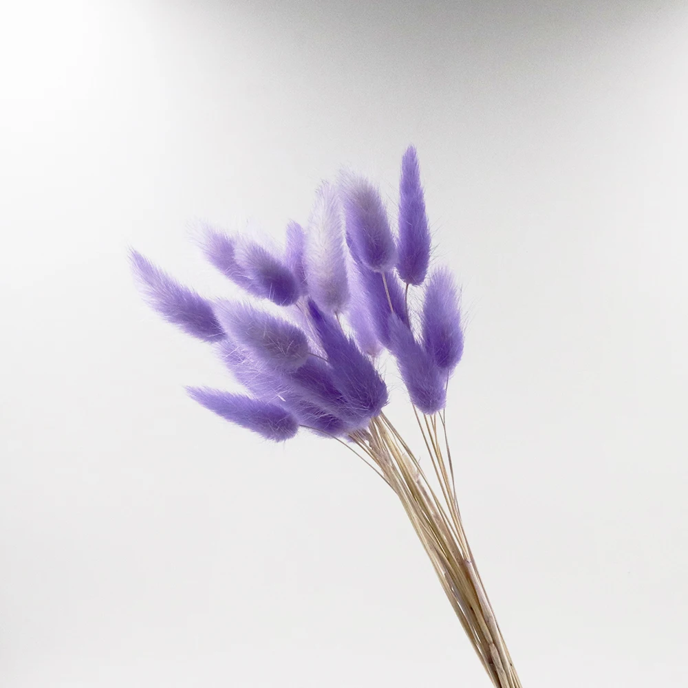 60 шт./пакет настоящие цветы для украшения дома компоновка хвост кролика трава